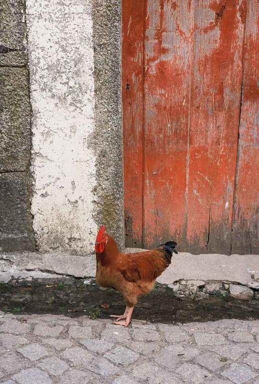 A Lagosta Perdida Montezinho Exterior foto